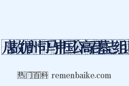 唐故循州司马申国公高君墓志组词是什么意思的图片